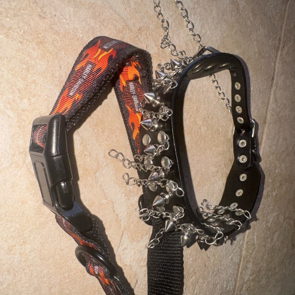 Harley-Davidson Black and Orange Spiked Dog Collar 17 inch u20